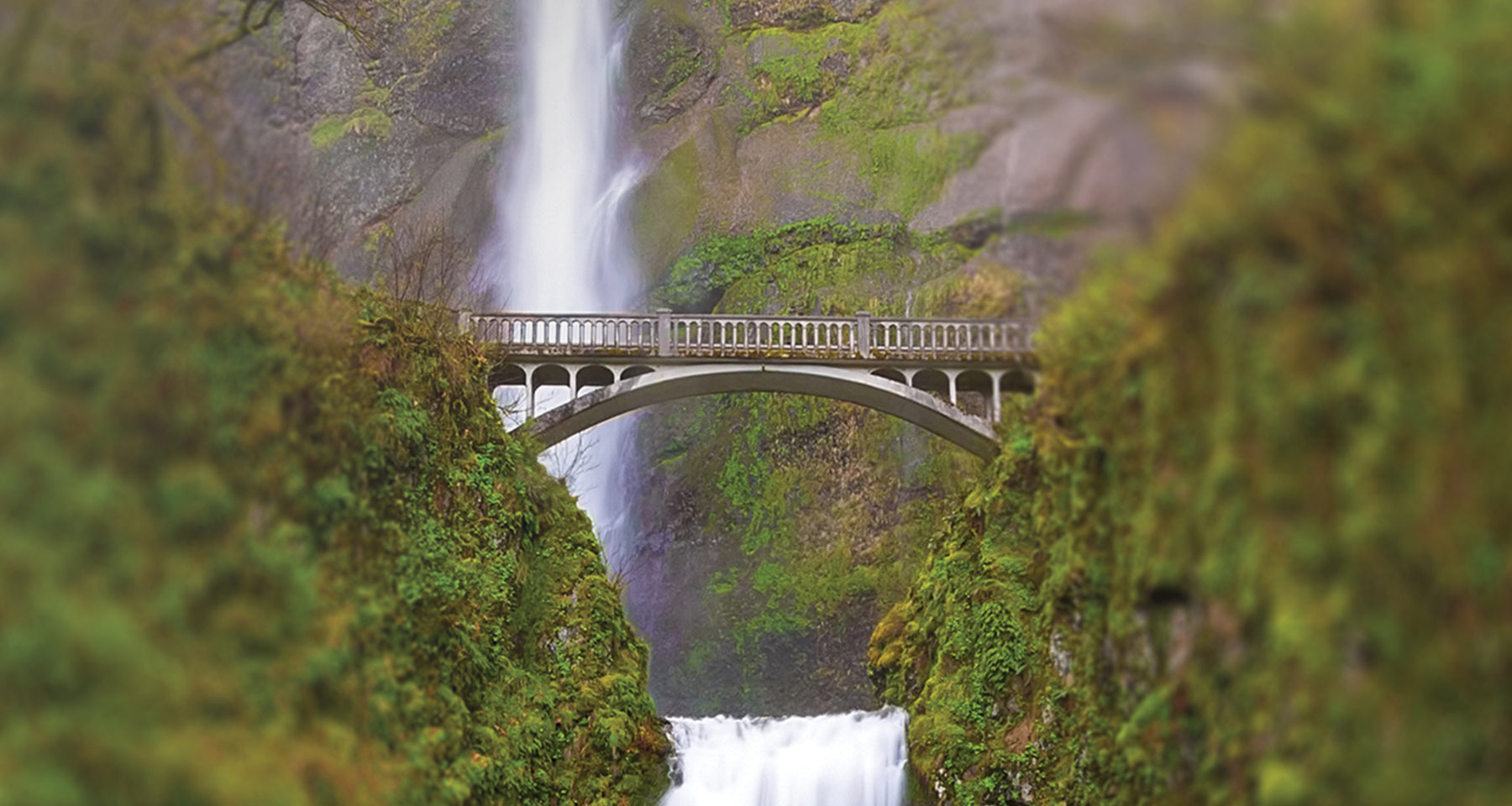 Bridge over a waterfall with lush greenery on either side